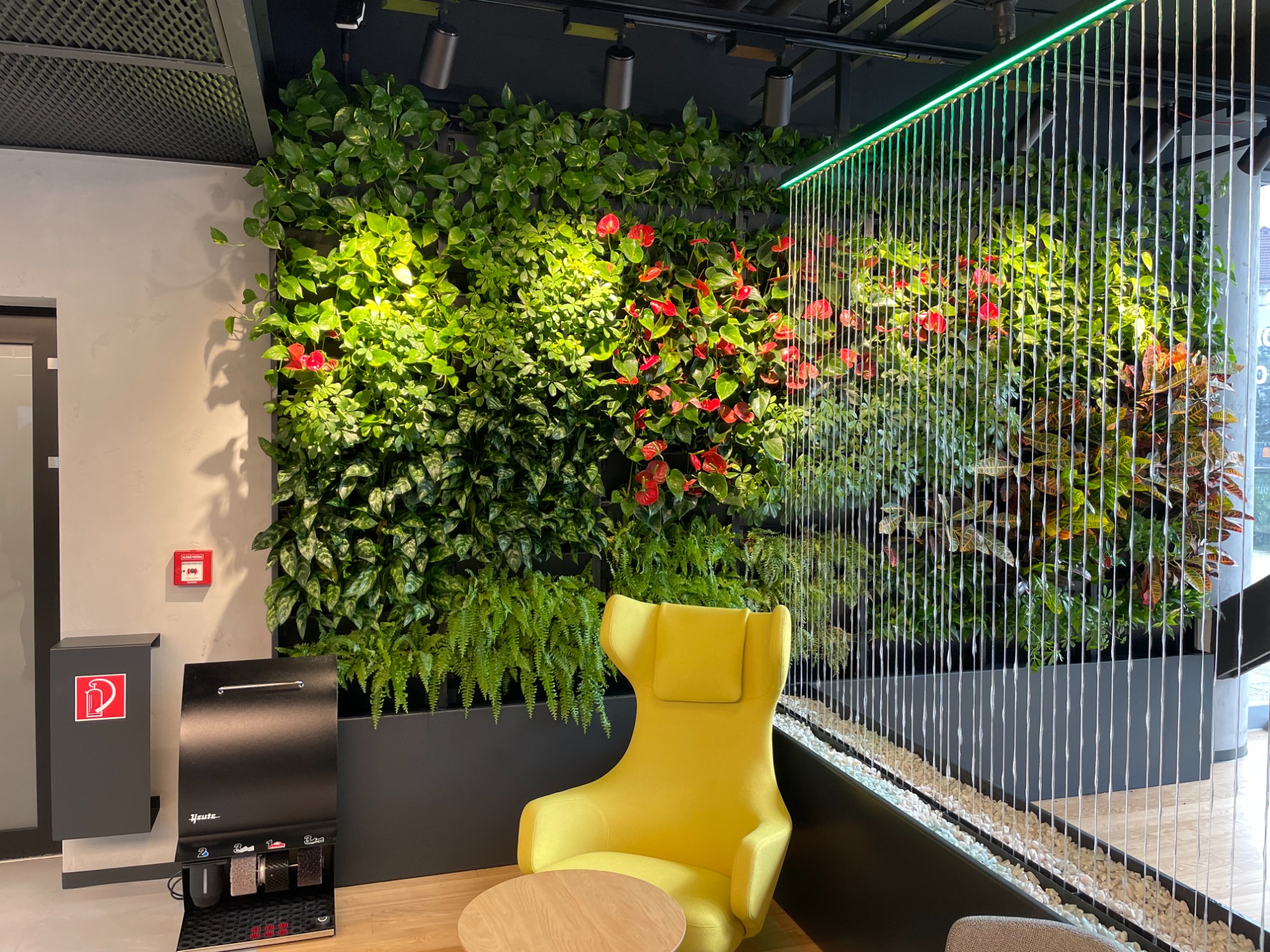 Interiérová živá stěna s rostlinami v kanceláří
