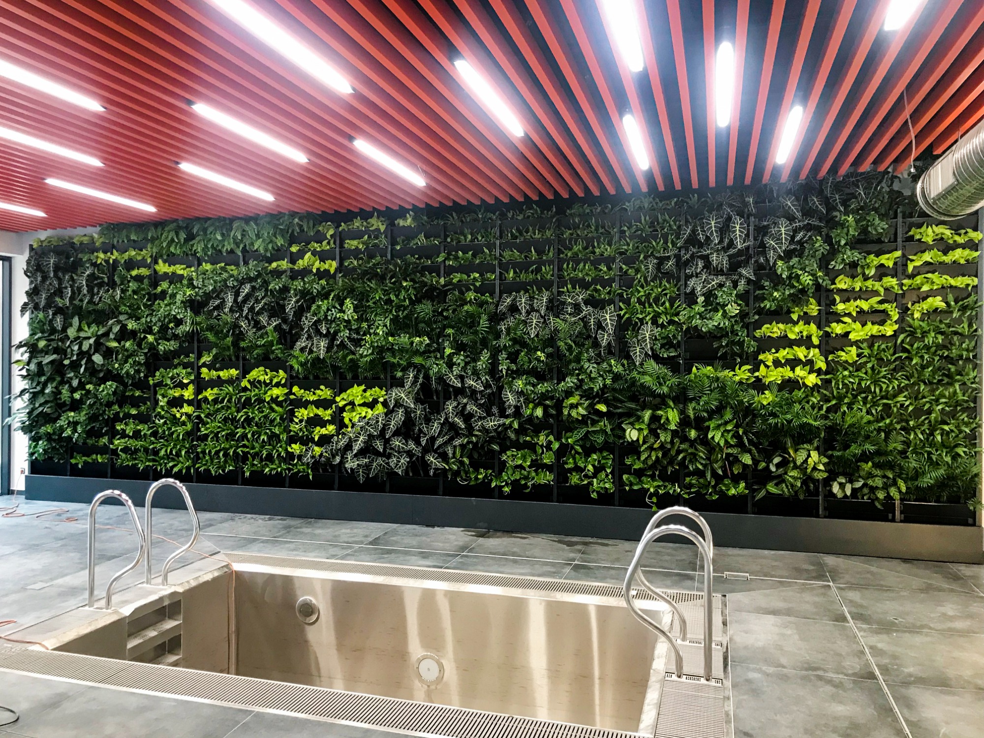 Živá stěna s rostlinami ve wellness centru 