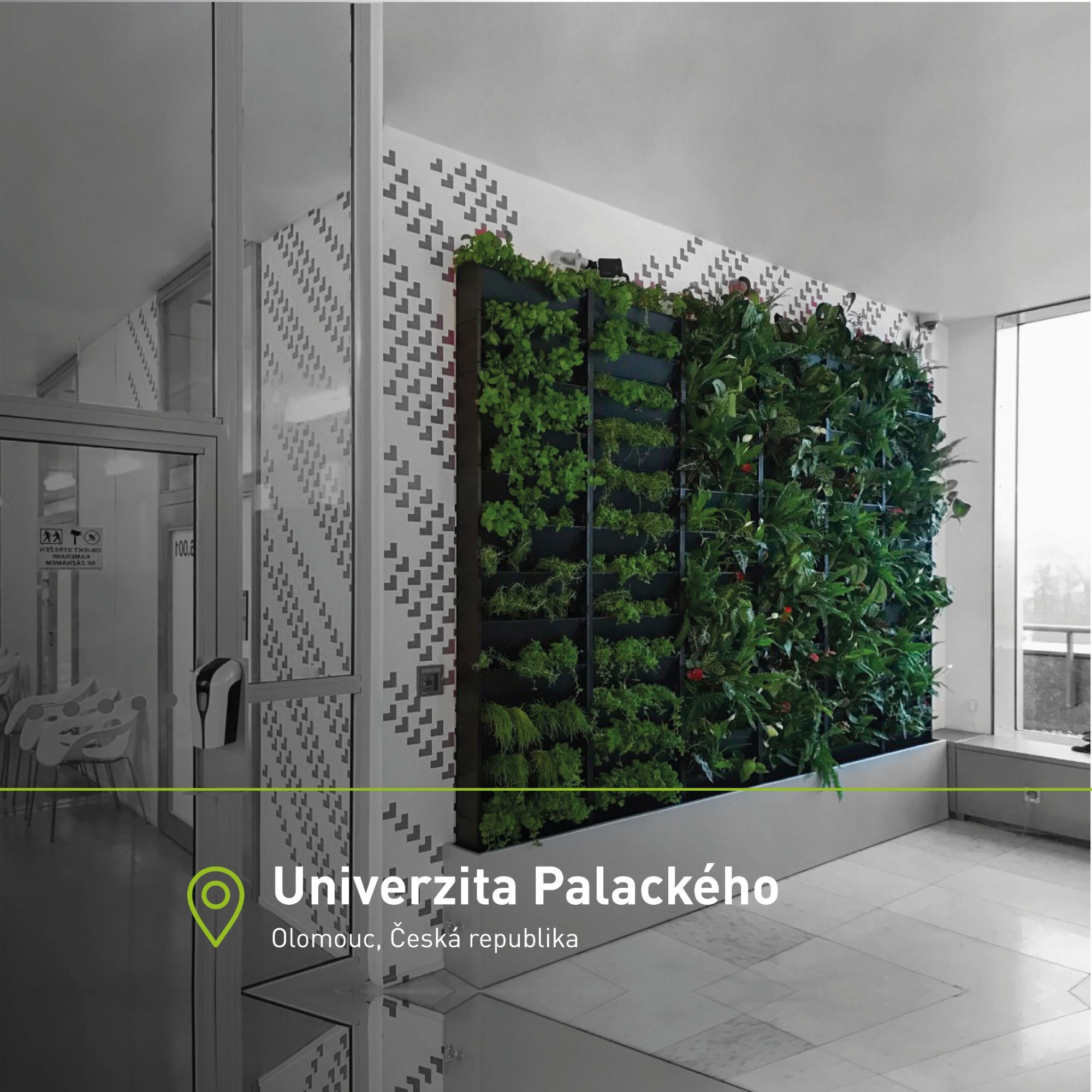 Zelená stěna s trvalkami a bylinkami na univerzitě UPOL v Olomouci