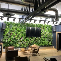 Indoor-PlantBox-Living-Wall-Chichester-550x550 (1)